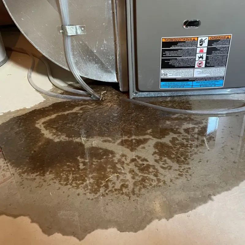 Pipe Burst and Leak Restoration in Ironton, MO