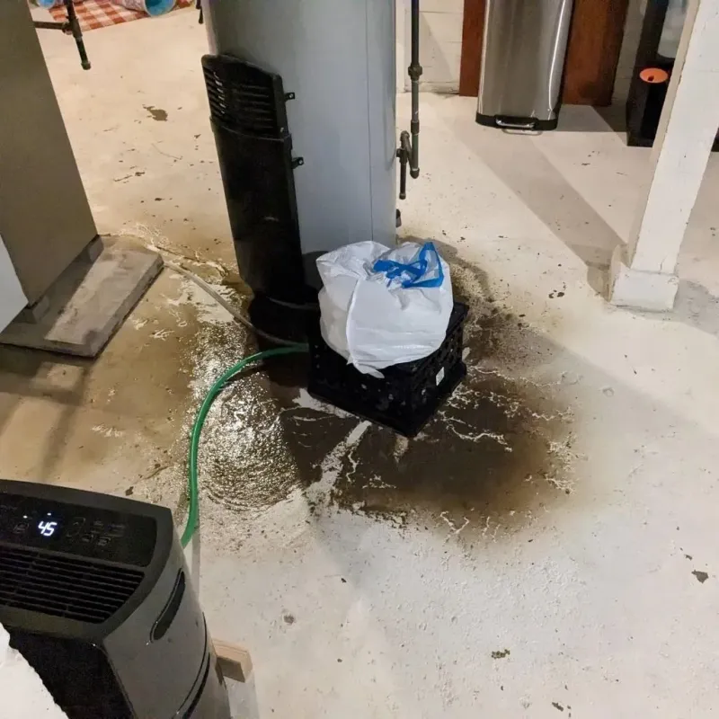 Sewage Backup Cleanup Service in Ironton, MO